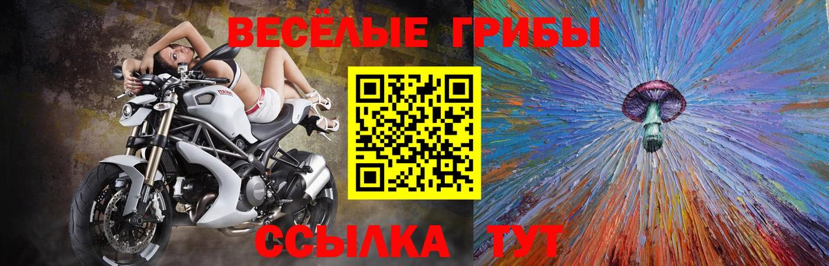 Псилоцибиновые грибы Psilocybine cubensis  цена наркотик  Галлюциногенные грибы ЛСД  Ивантеевка  Вход с VPN 